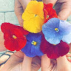 Meet your Posher, Bailey